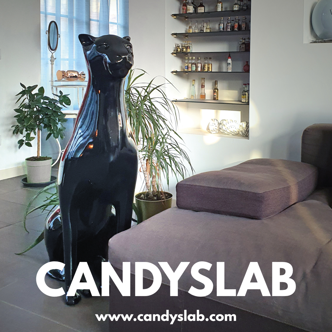 pantera nera in sala con scritta candyslab